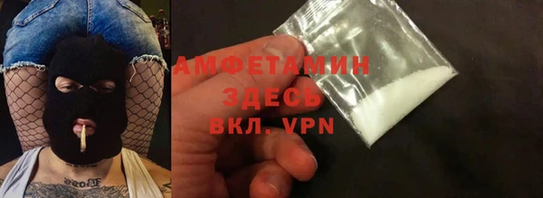 ПСИЛОЦИБИНОВЫЕ ГРИБЫ Ельня