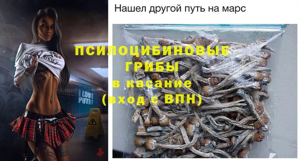 spice Елабуга