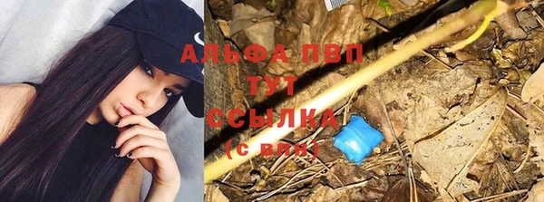 spice Елабуга