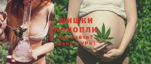ПСИЛОЦИБИНОВЫЕ ГРИБЫ Ельня