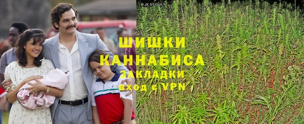 ПСИЛОЦИБИНОВЫЕ ГРИБЫ Ельня