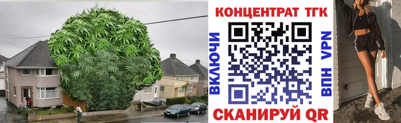 ТГК Wax  Купить закладки  Тулун 