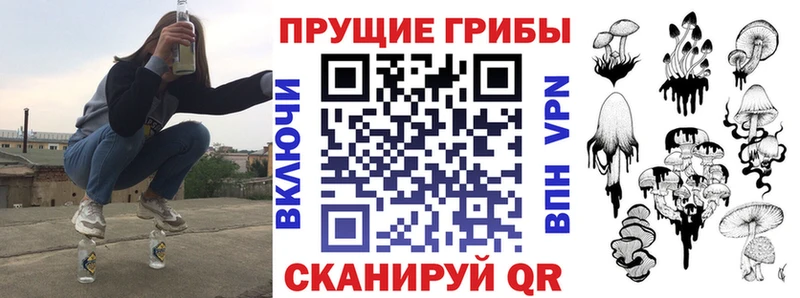Галлюциногенные грибы Psilocybine cubensis  Купить закладки  Тулун 
